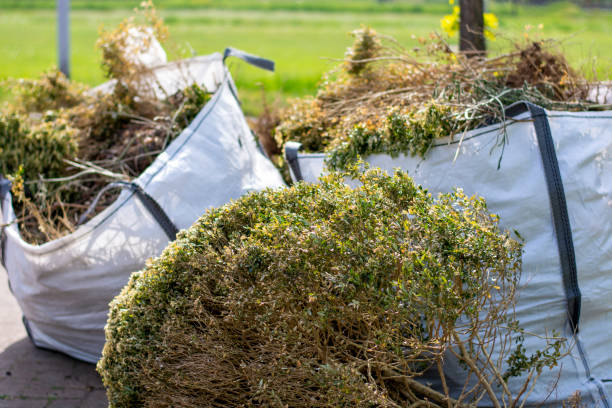 Shed Removal in Sterling, AK